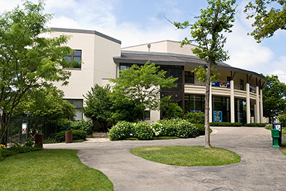 The Steans Institute